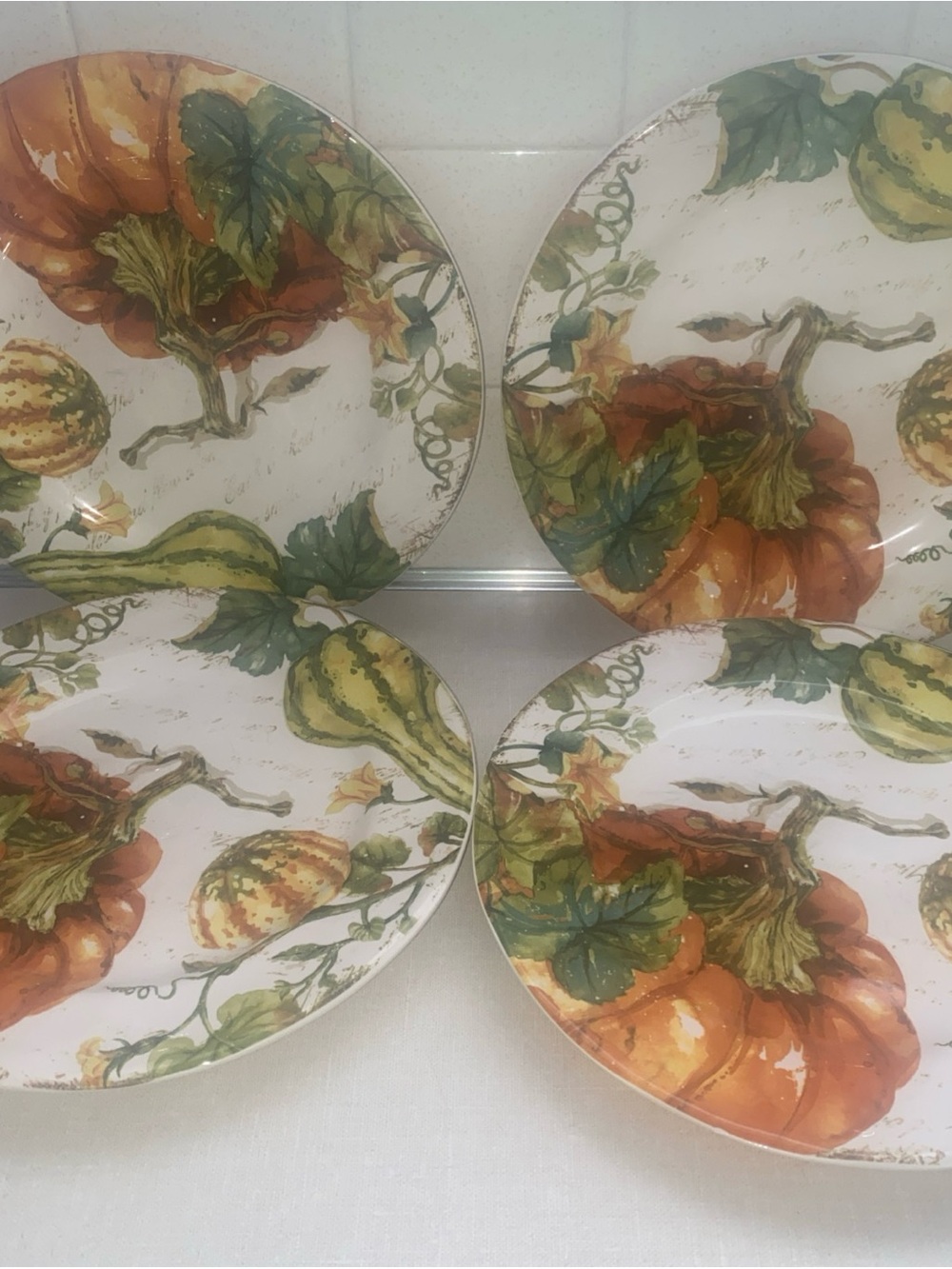 Pier 1  Pumpkin Patch Dinner Plates Set of  4 Earthenware Fall Thanksgiving